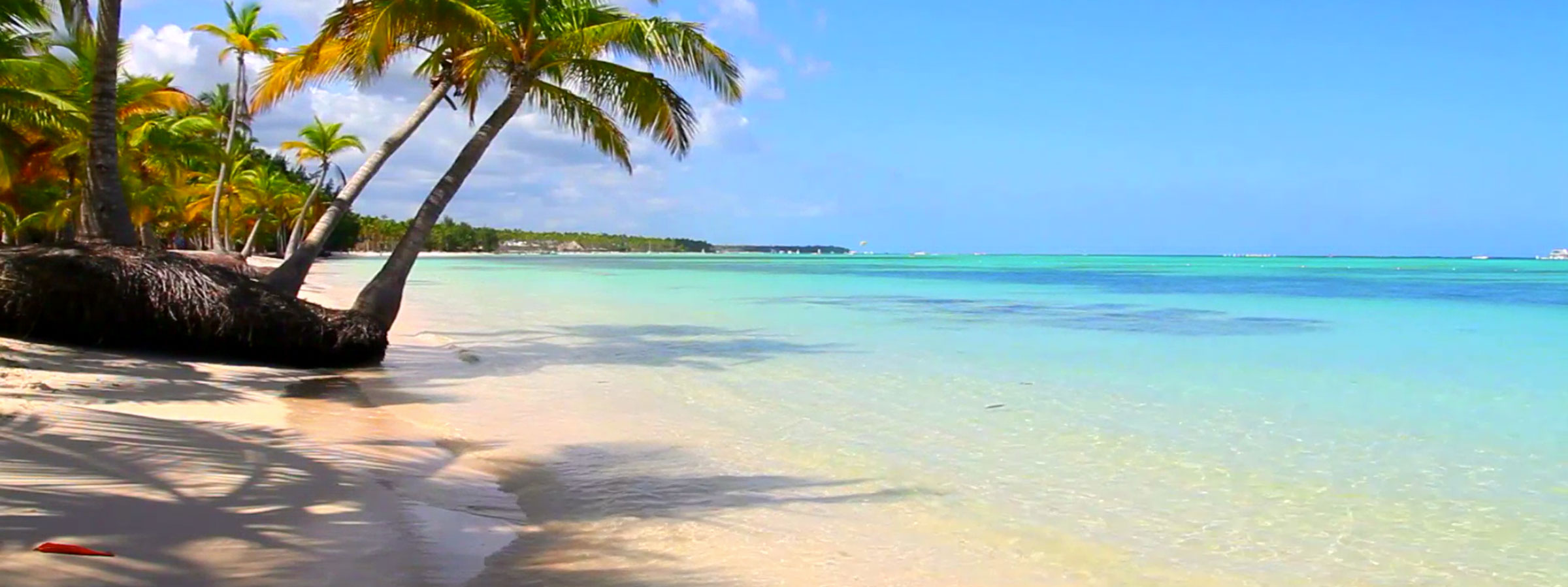 Margaritaville Schoen Cooperman Research